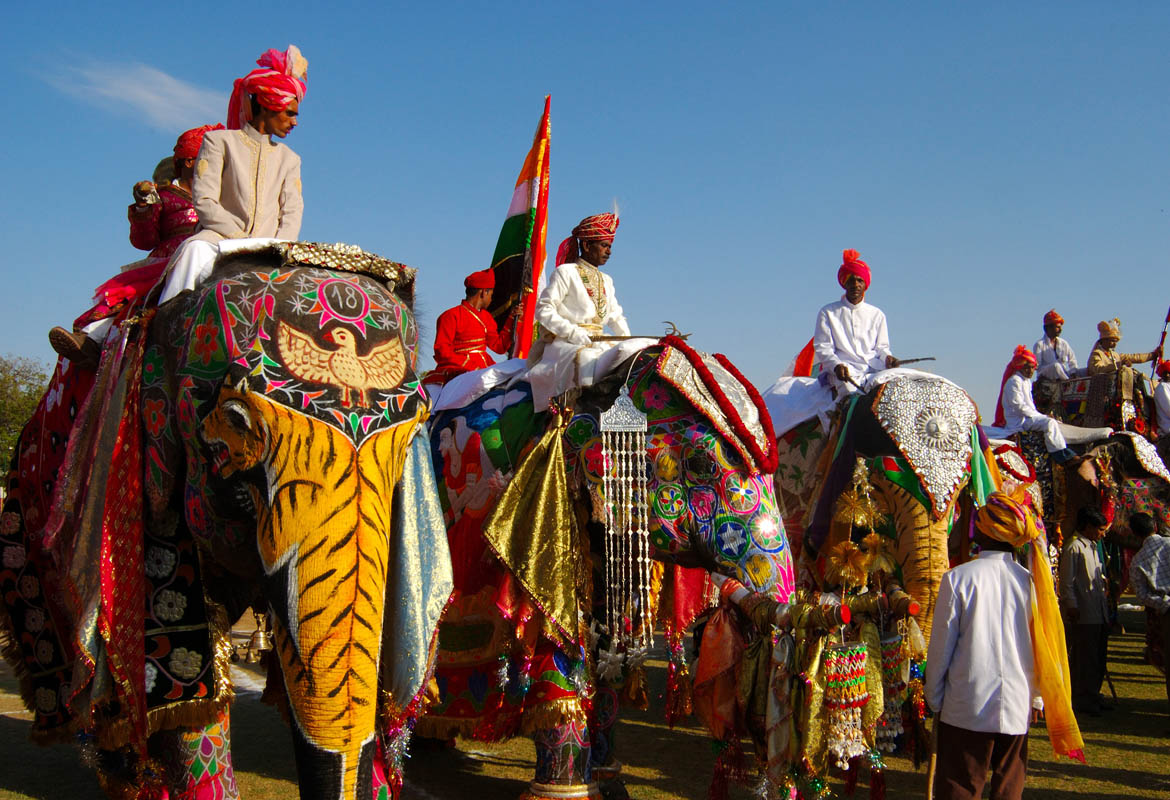 Special Elephant Festival Tour